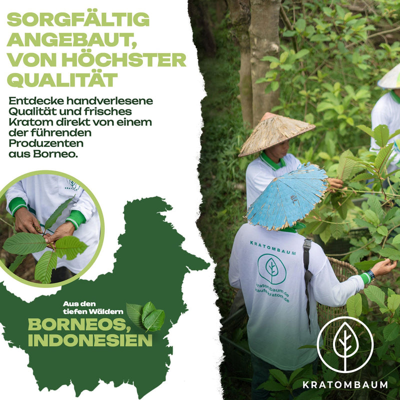 Green Super A+ Kratom